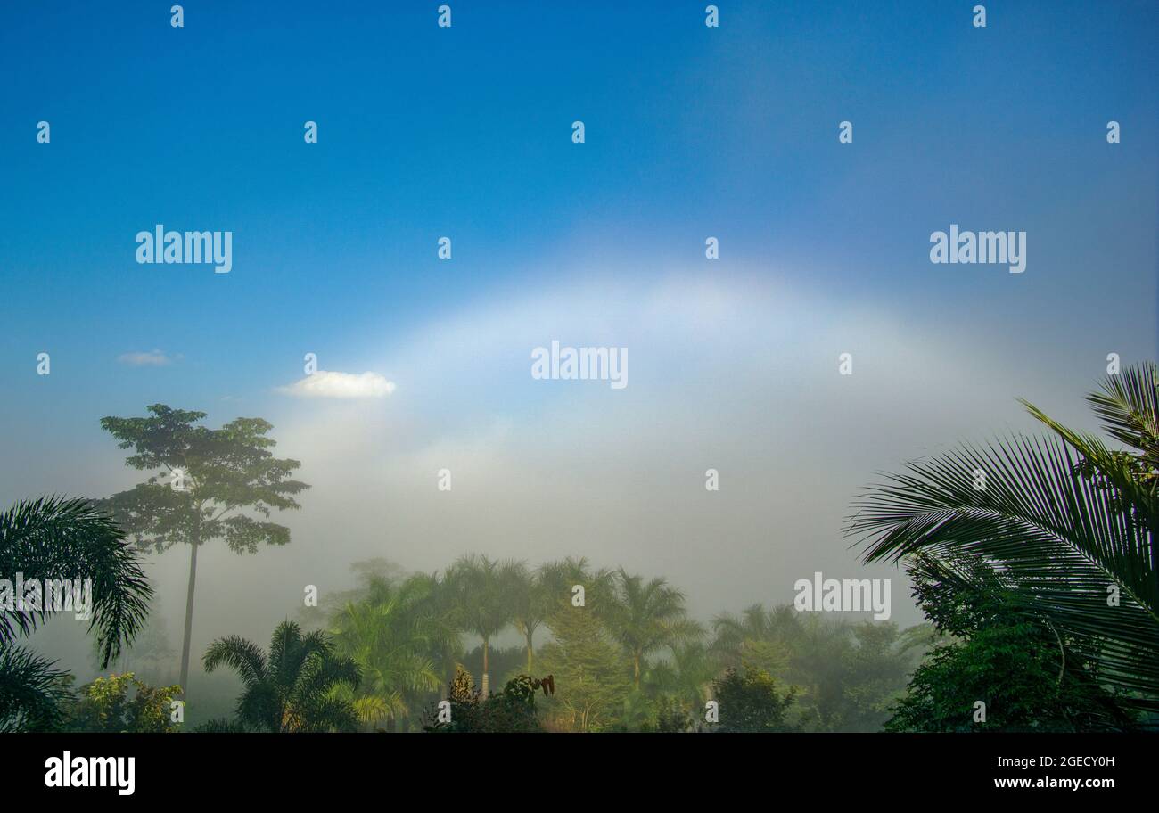 Phénomènes naturels. Fogbow ou White Rainbow se trouve au-dessus de la brume. Banque D'Images