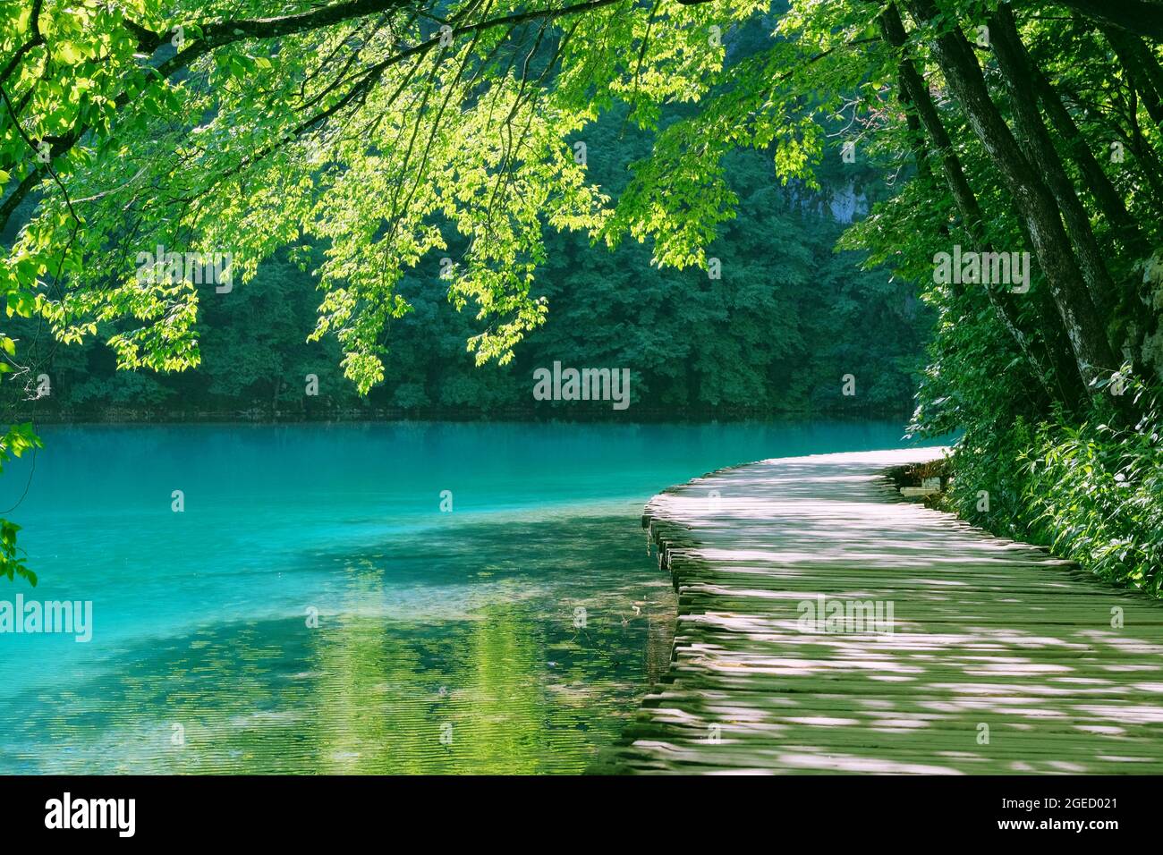 Paysages verts d'été le long de la rivière en voyage. Passerelle en bois d'époque. Marche dans le parc en voyage. Banque D'Images