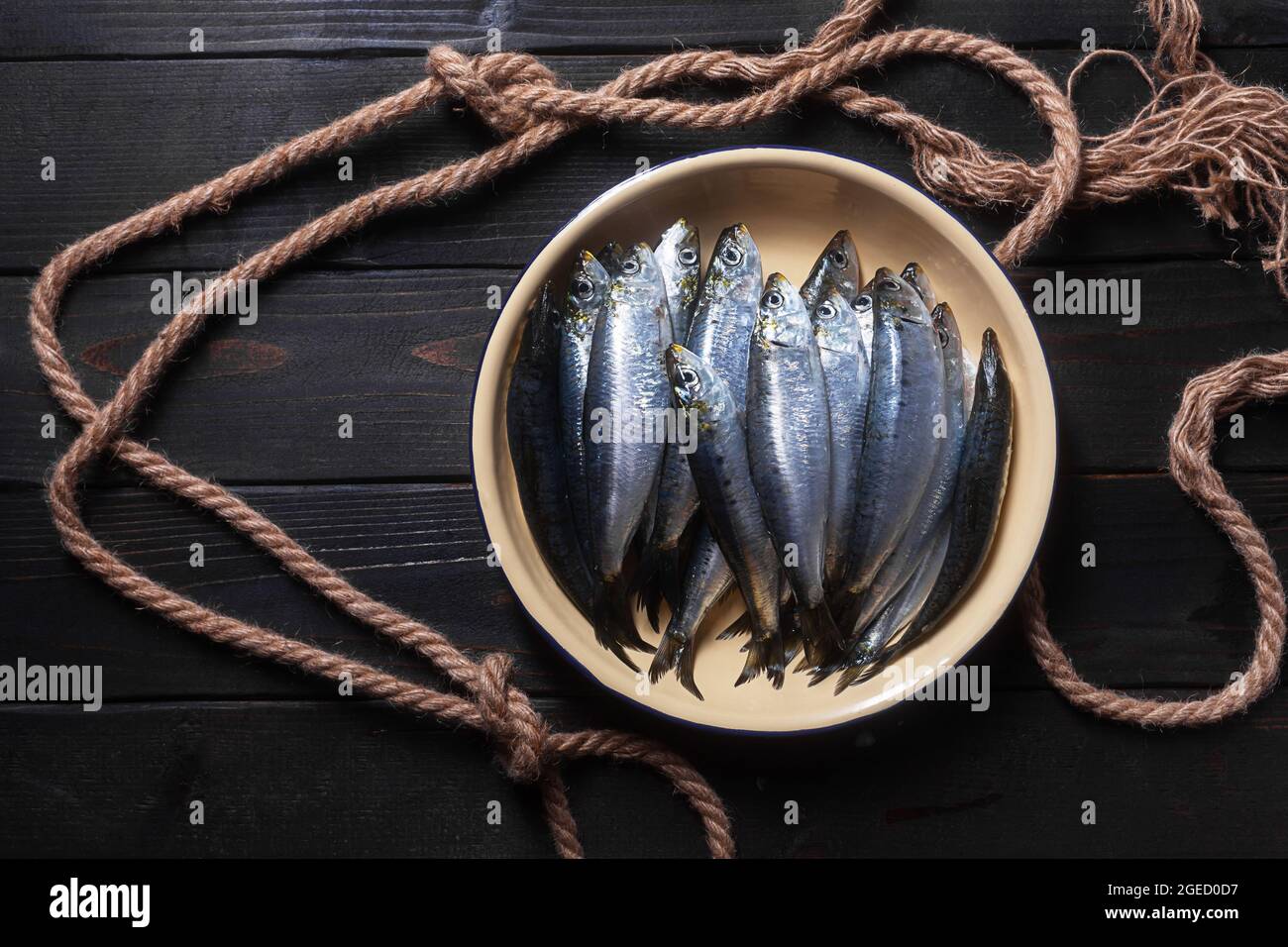 Sardines ou pilchard européen de la Méditerranée. Le poisson est largement utilisé dans les cuisines de la Grèce, de l'Espagne et de l'Italie Banque D'Images