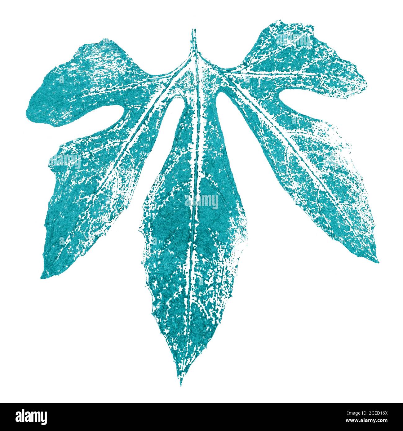 Timbre feuille original fait main, imprimé nature unique Banque D'Images