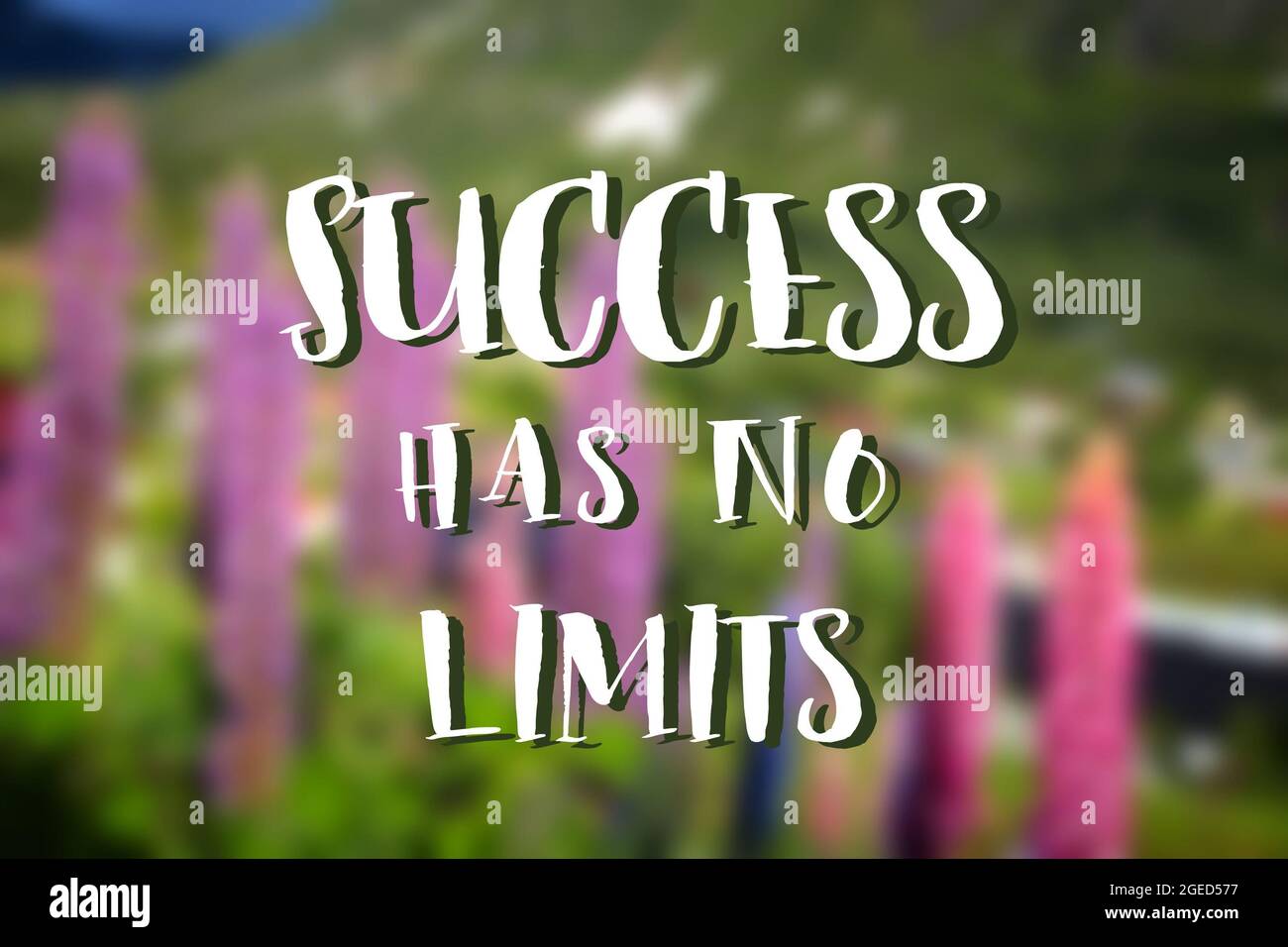 Le Succes N A Pas De Limites Affiche De Citation Sur Le Lieu De Travail Texte De Motivation De Reussite Photo Stock Alamy