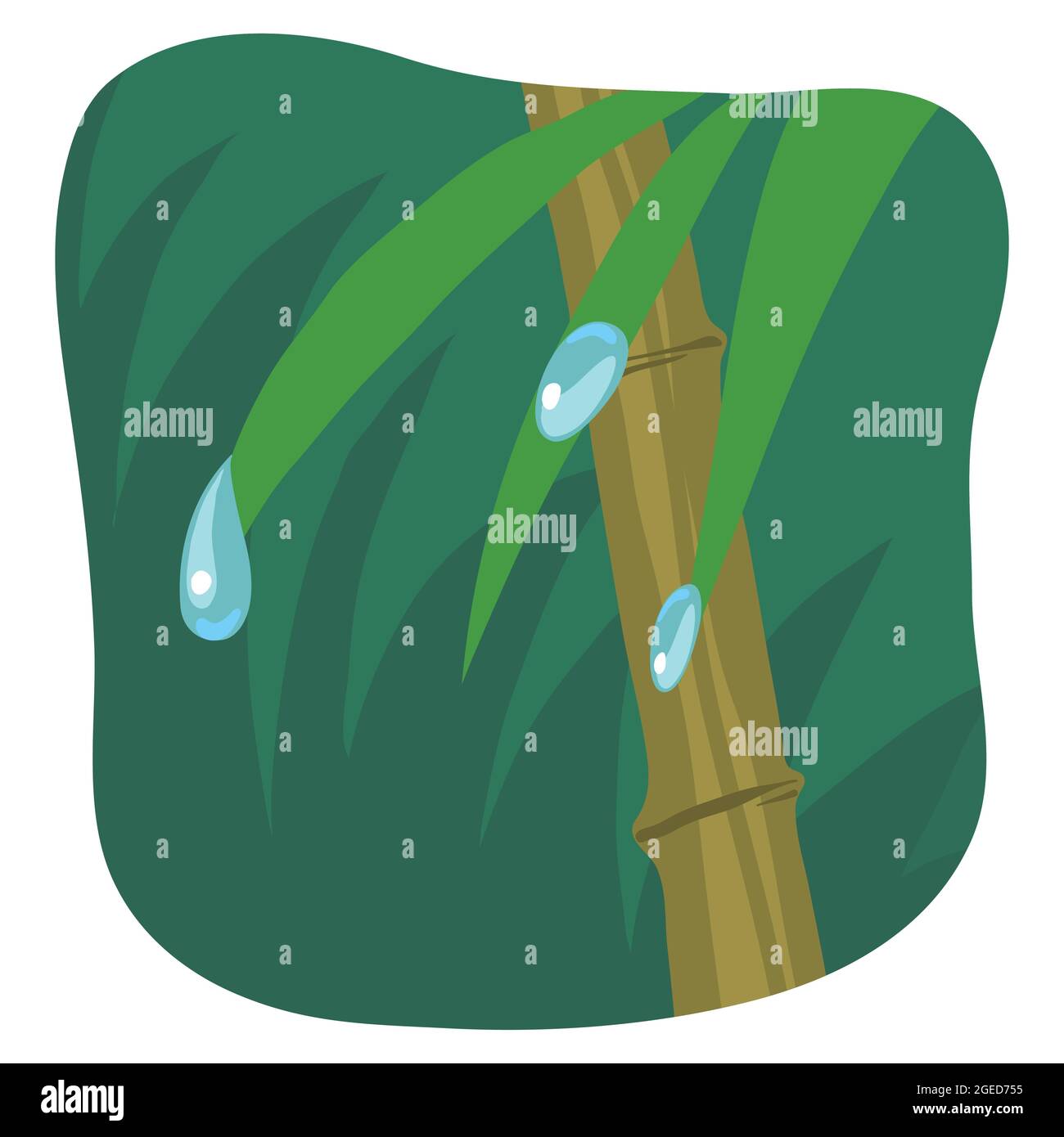 Illustration des gouttes d'eau sur les feuilles Illustration de Vecteur