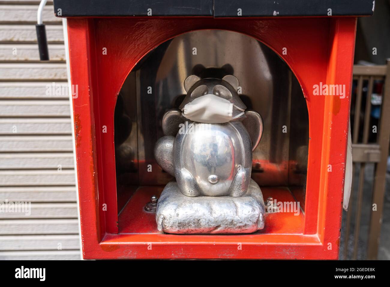 Chien De Raton Laveur Japonais Banque du0027image et photos - Alamy