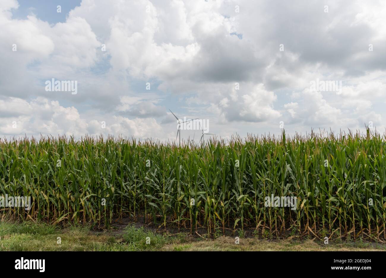 L'Indiana rural moderne, l'agriculture et l'énergie verte combinées Banque D'Images
