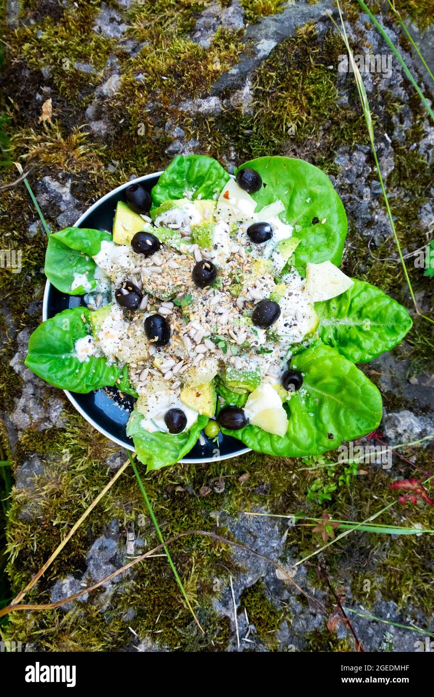 Vue ci-dessus en regardant vers le bas sur une assiette à salade de feuilles de laitue verte, avocat, olives noires, graines de tournesol, morceaux d'ananas, mousse de fond KATHY DEWITT Banque D'Images