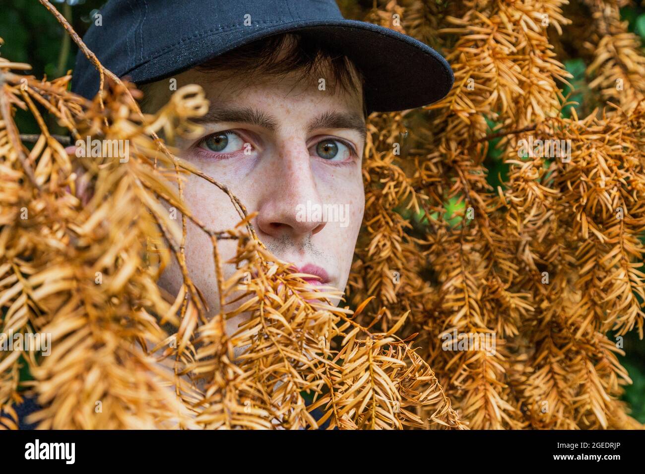 Un beau jeune homme portant une casquette de baseball regarde derrière les  feuilles d'une branche Photo Stock - Alamy