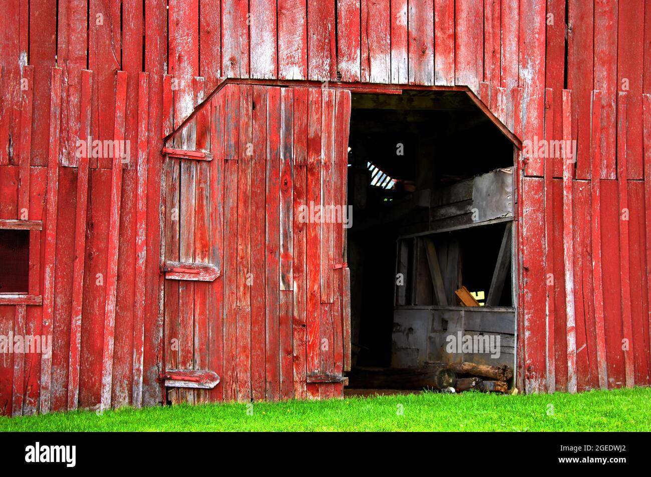 La grange en bois rouge est défraîchi et ancienne. Une porte est ouverte et l'autre est cassée. L'herbe verte vif couvre la base de la grange. Banque D'Images