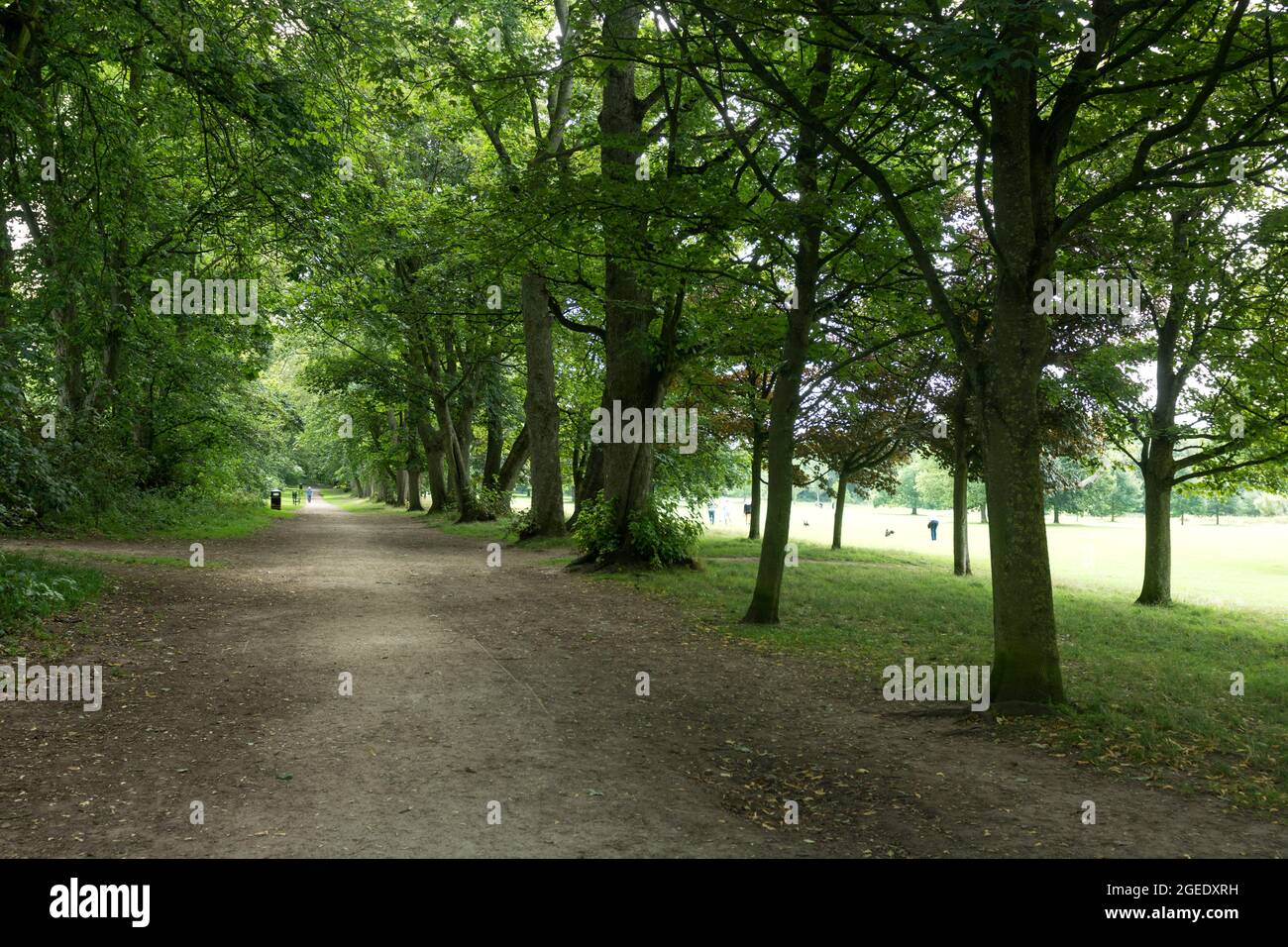 Dorridge Park en été, West Midlands, Angleterre, Royaume-Uni Banque D'Images
