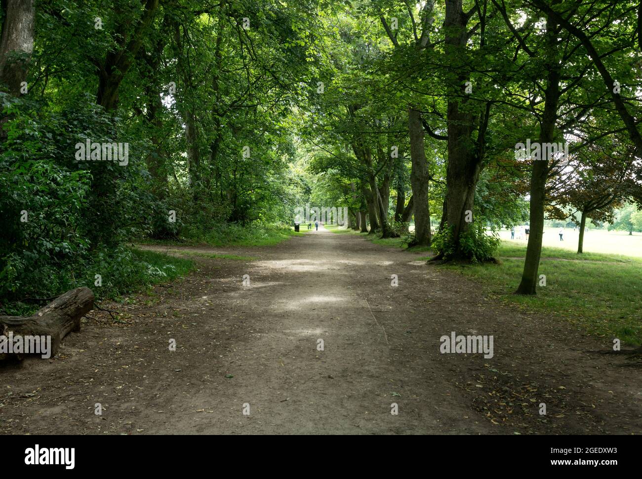 Dorridge Park en été, West Midlands, Angleterre, Royaume-Uni Banque D'Images