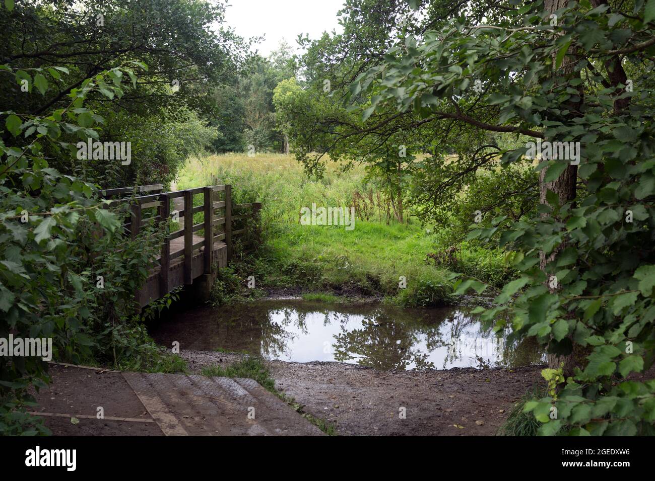 Le ruisseau de Dorridge Park en été, West Midlands, Angleterre, Royaume-Uni Banque D'Images