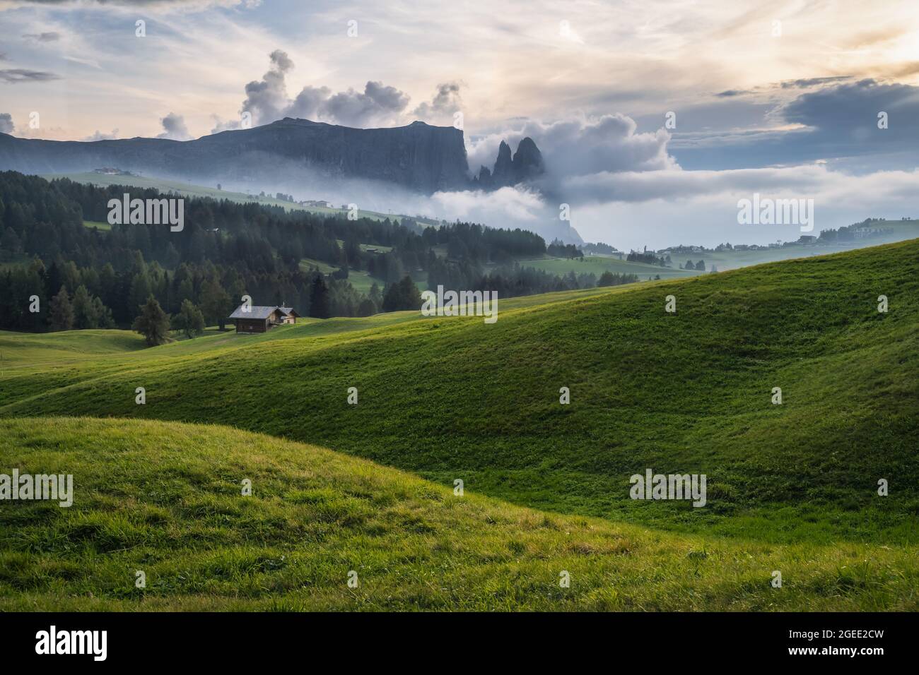 Schlern montagne dans l'Alm de Seiser avec un peu de brouillard sur la forêt. Alpes Dolomites, Italie Banque D'Images