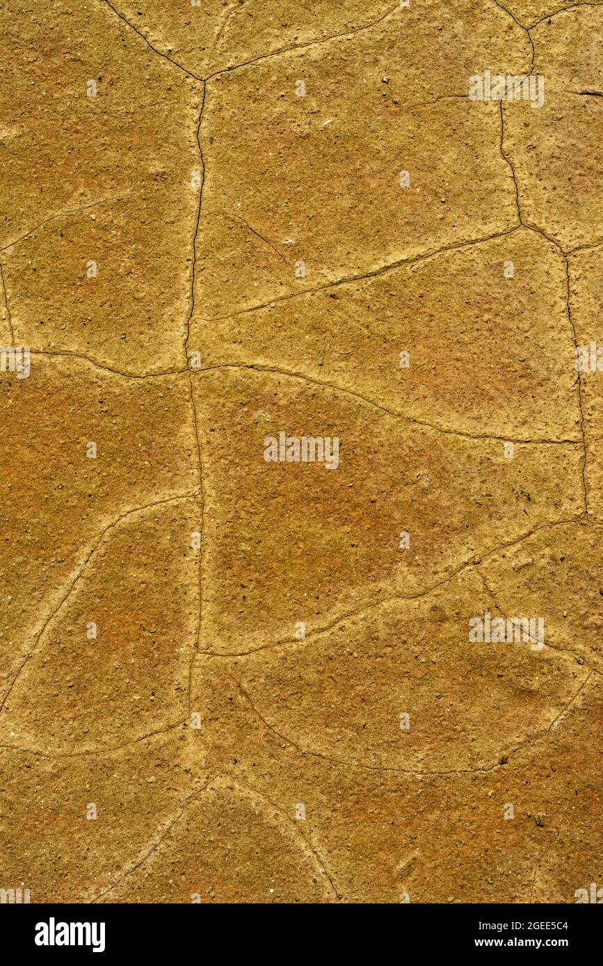 Gros plan sur le lit en terre sèche avec éléments minéraux et rares. Accent sur les lignes, les motifs et le design. Lié à la terre mère, vert, conservation. Banque D'Images