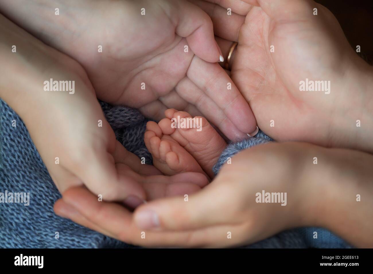 Les petits pieds d'un nouveau-né dans les mains d'un parent. Bébé d'une semaine. Banque D'Images
