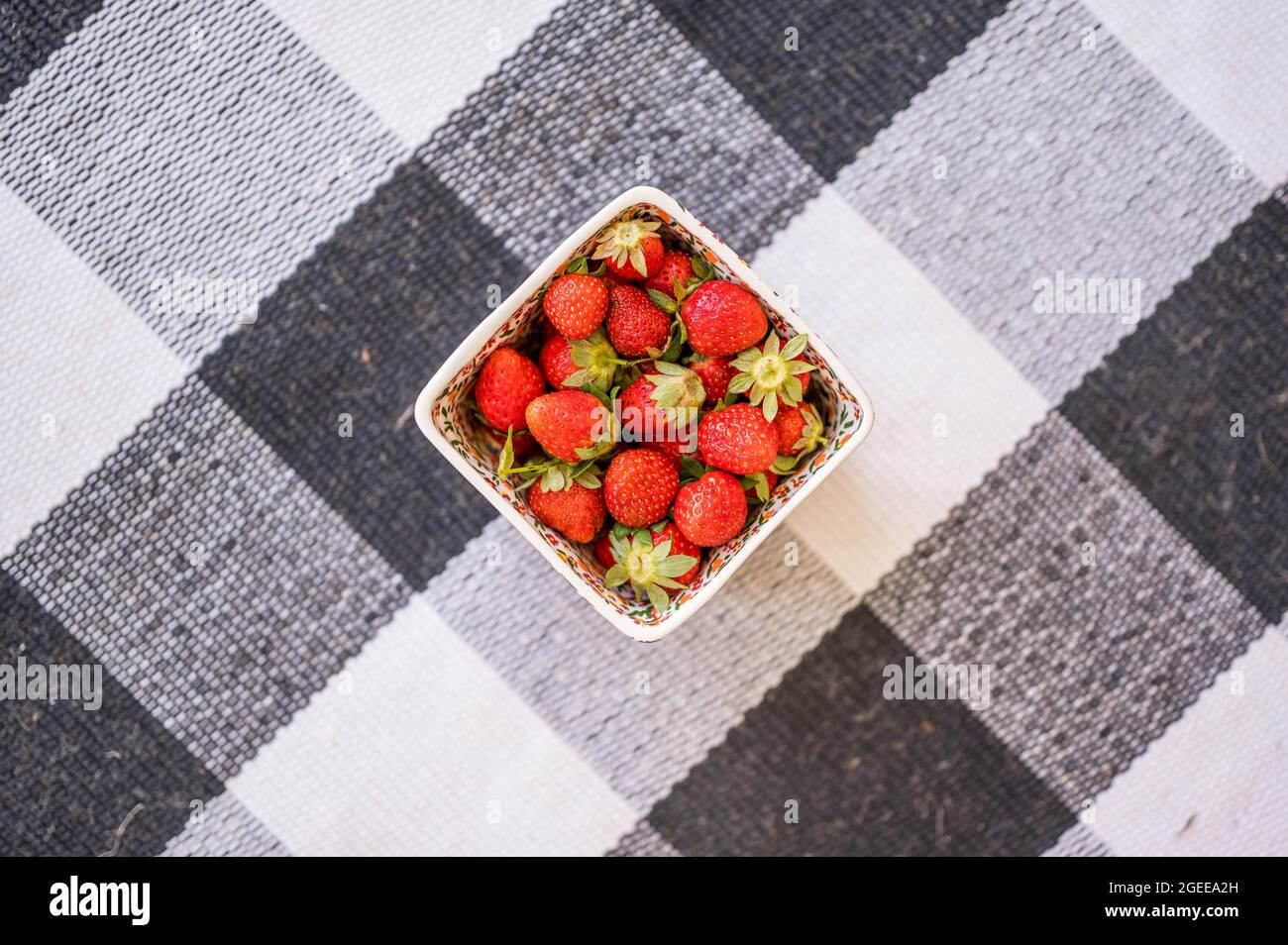 SuQKXCo Nappe Ronde à Carreaux De Buffle Noir Et Orange De