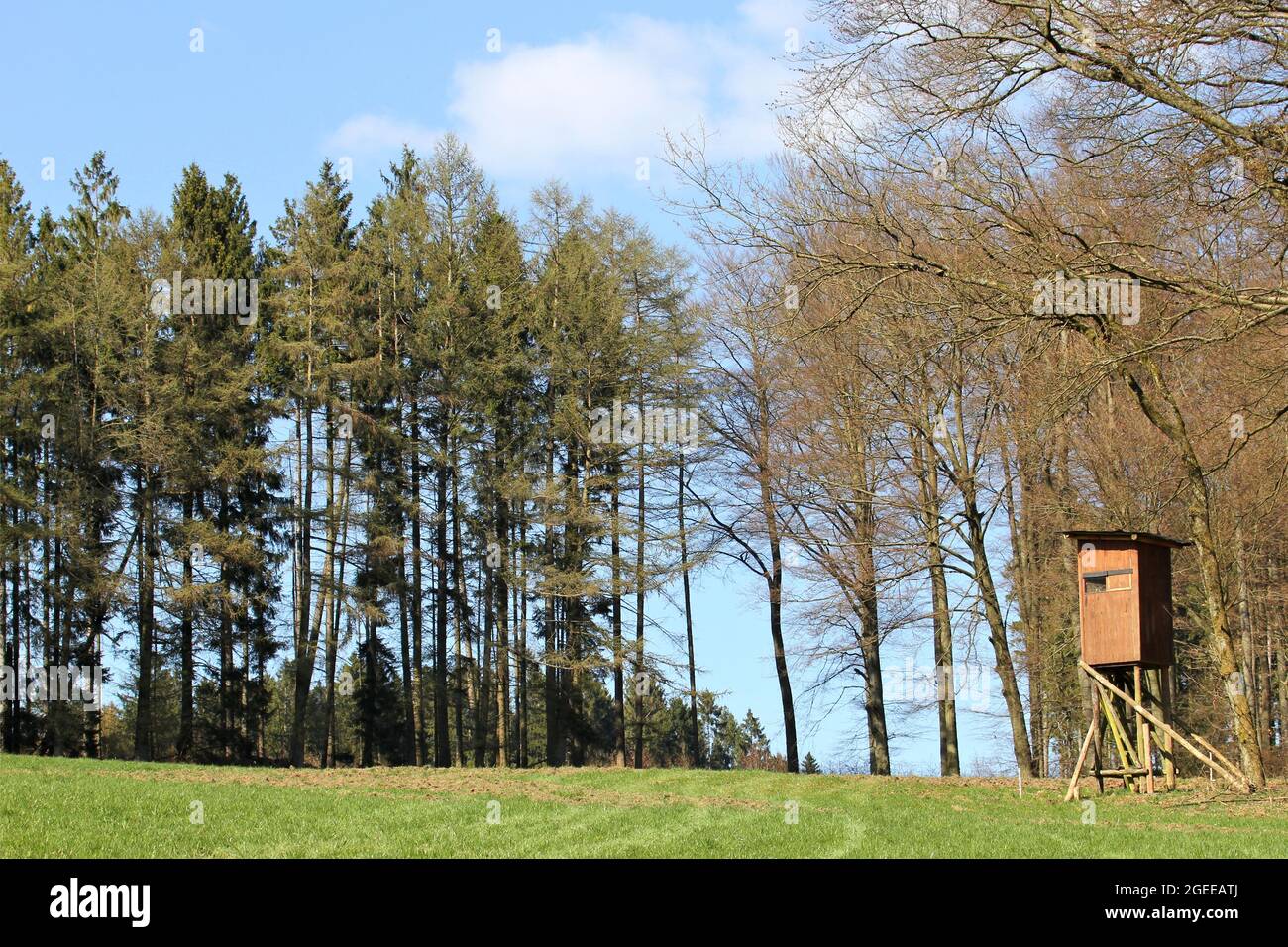 dépeuplement au bord de la forêt Banque D'Images