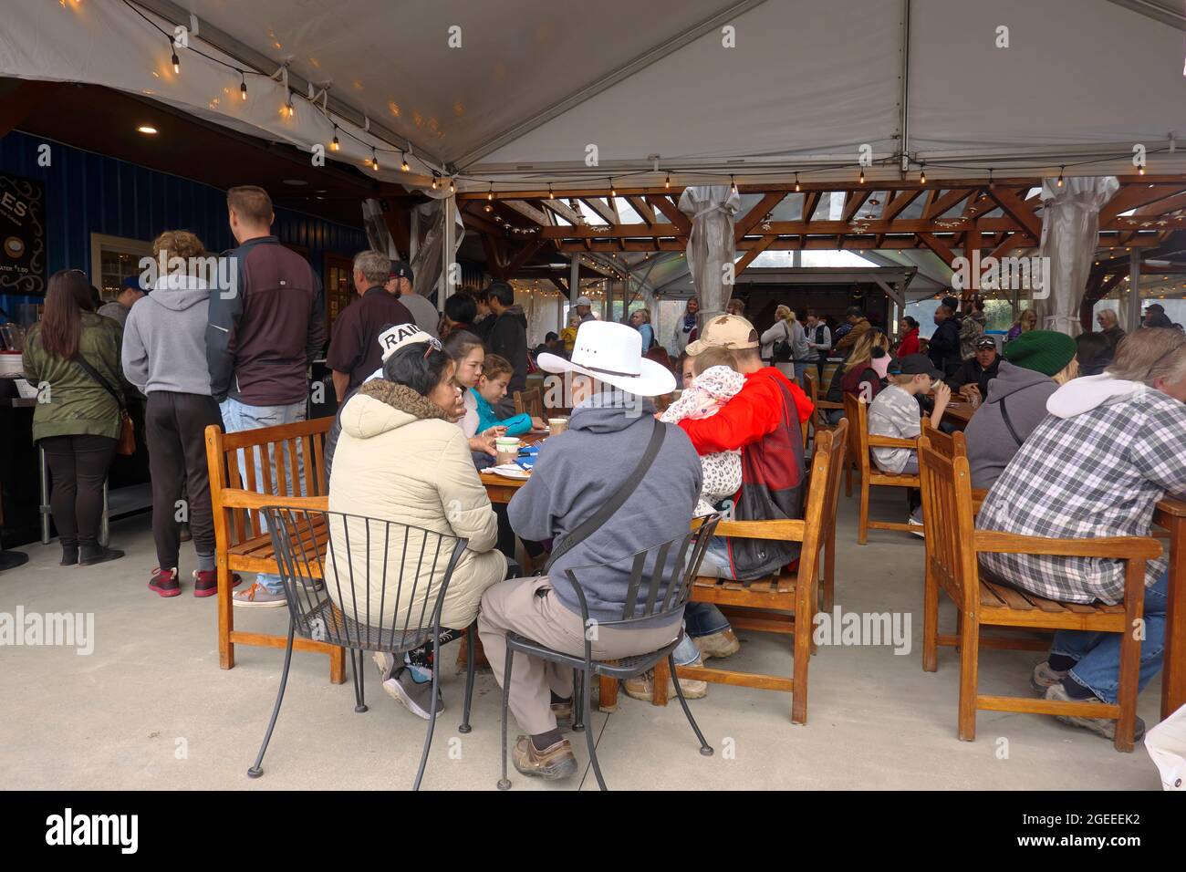 Les gens qui déjeunent sur un patio couvert, Langley, B. C., Canada. Banque D'Images