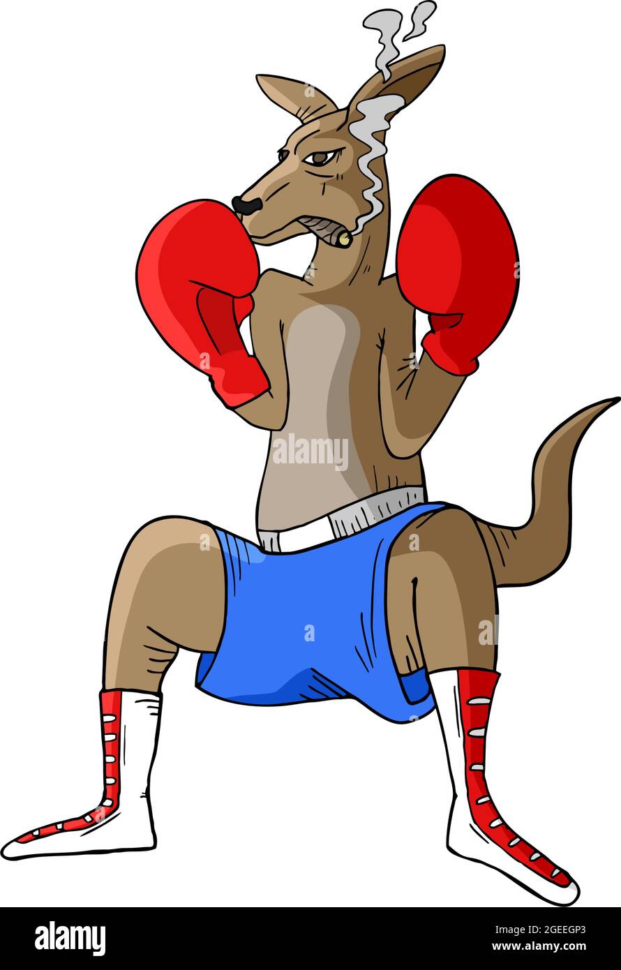 Boxe kangourou Illustration de Vecteur