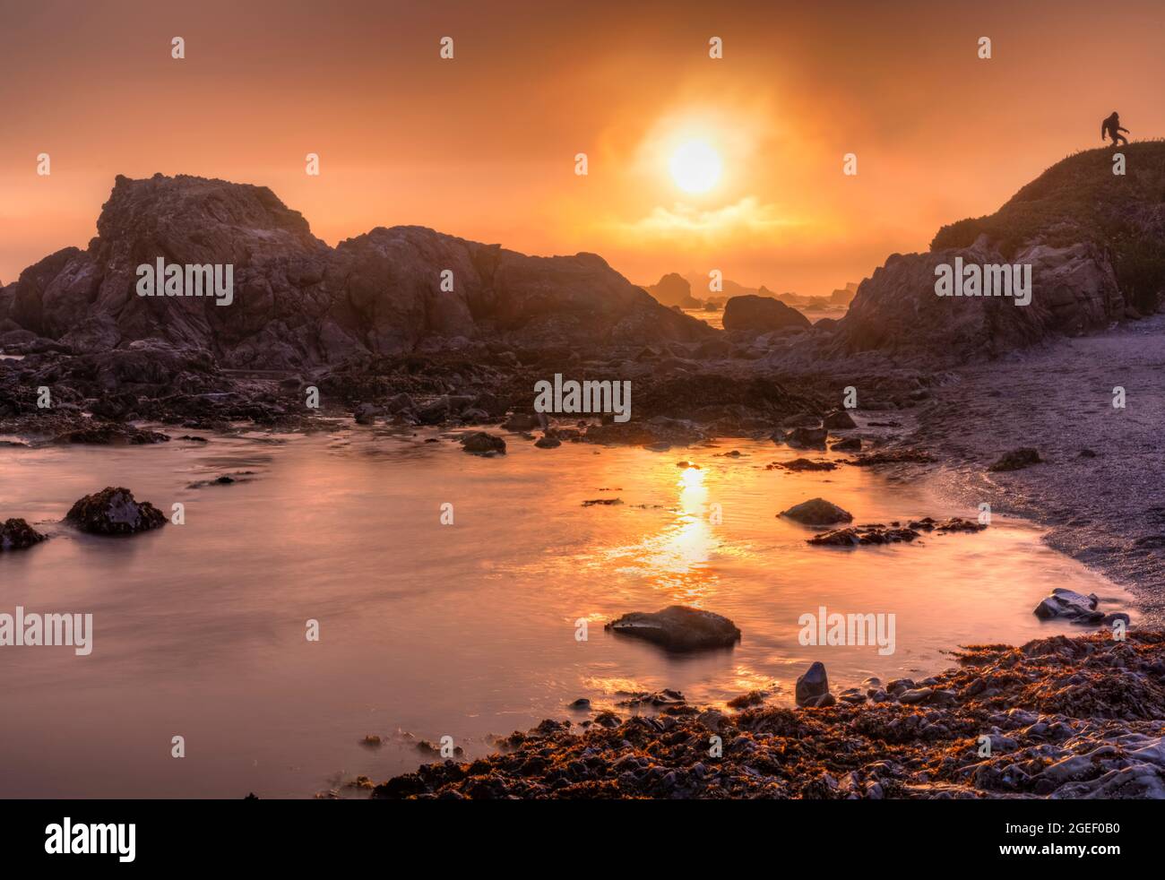 Le soleil couchant a enveloppé d'épais brouillard sur Battery point Beach, Crescent City Californie. Banque D'Images