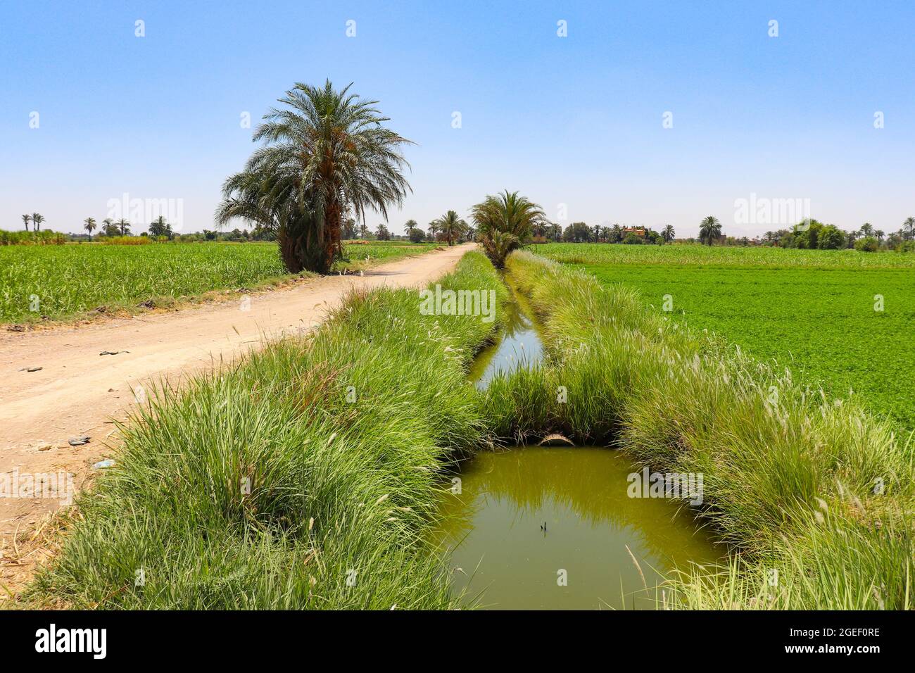 Canal d'irrigation sur la rive ouest du nil, Louxor, haute-égypte Banque D'Images