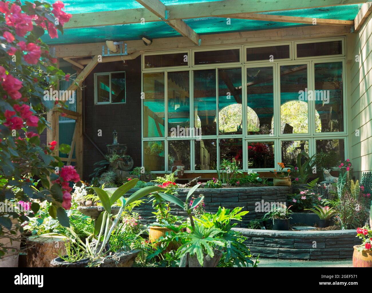 Jardin avec murs décoratifs en briques incurvées entourant les lits de jardin surélevés dans une fernerie, en Australie Banque D'Images