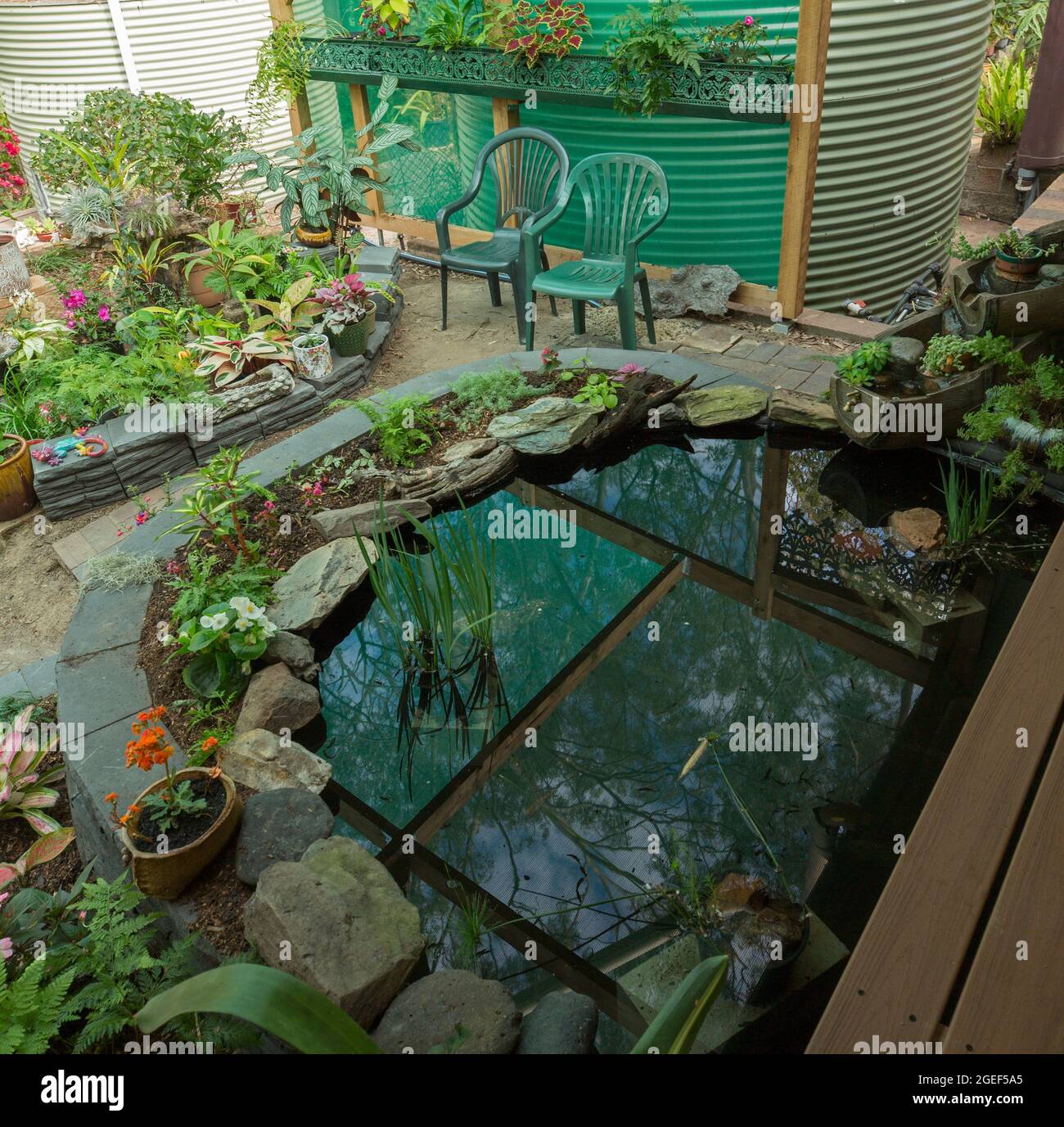 Jardin paysagé avec plan d'eau / étang à poissons entouré d'un mur en briques décoratif et de lits de jardin surélevés avec fougères et fleurs colorées, Australie Banque D'Images