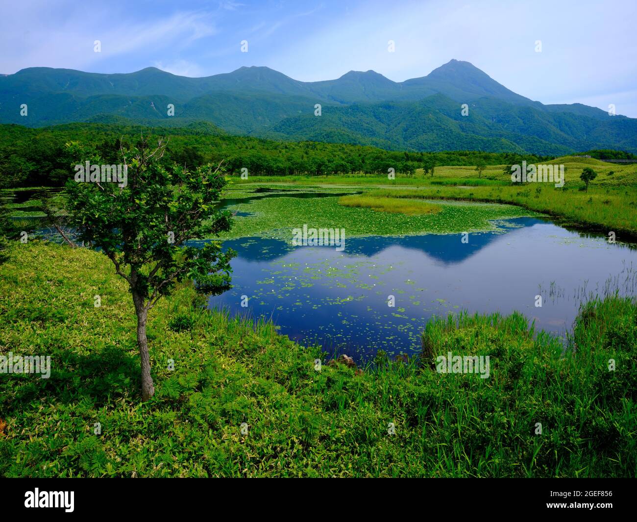 Shiretoko Five Lakes, Hokkaido, Japon Banque D'Images