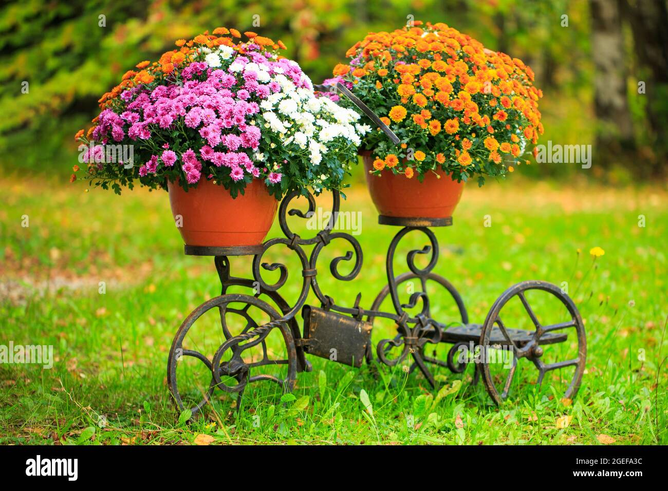 Panier de fleurs sur le coffre d'une vieille bicyclette. Décoration de  jardin de style provençal. Livraison de fleurs. Commande en ligne dans une  boutique de fleurs. Réutilisation des choses, la seconde vie