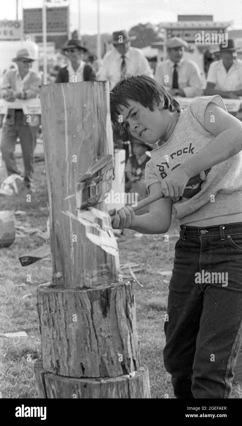 CROWS NEST QUEENSLAND, AUSTRALIE, MAI 1984 : un garçon non identifié attaque son bloc lors de l'événement junior de broyage du bois lors du spectacle annuel Crow's Nest A and P, 1984. Numérisé à partir de négatifs originaux pour publication dans un journal. Banque D'Images