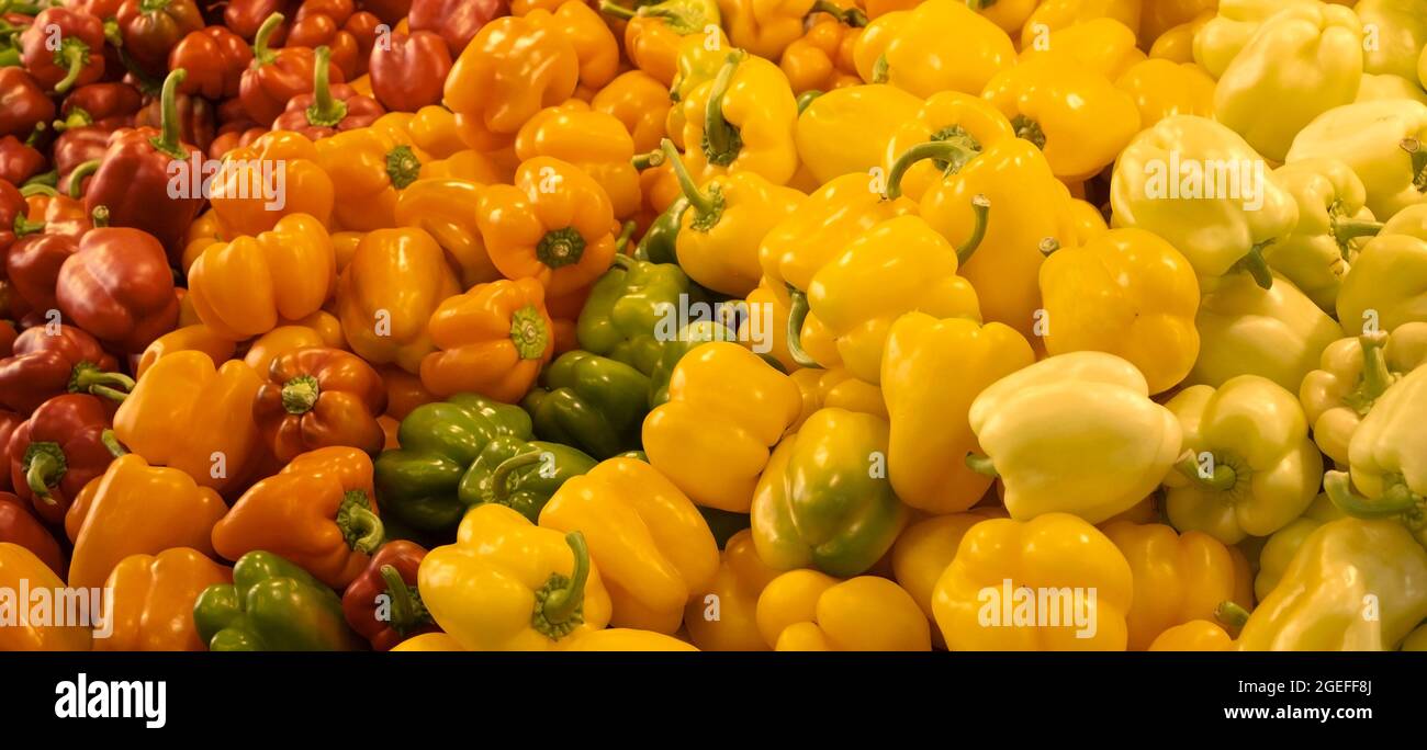 Poivrons jaunes, verts, orange et rouges frais à vendre sur le marché alimentaire Banque D'Images
