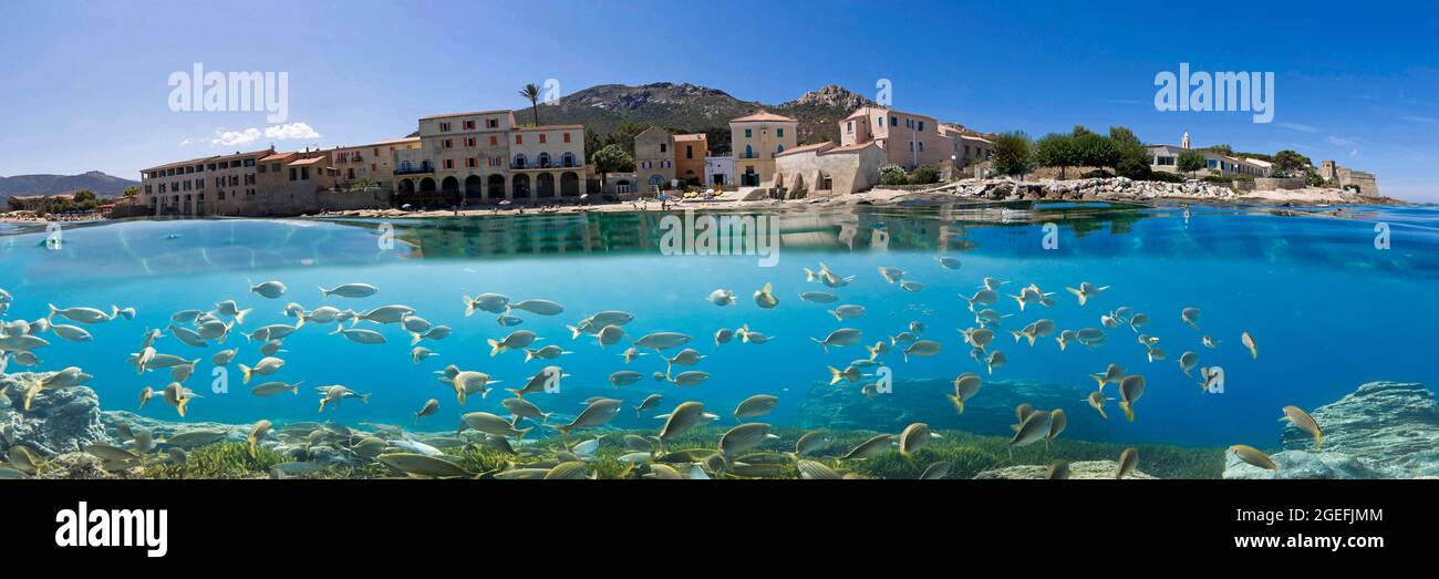 FRANCE. HAUTE-CORSE (2B) BALAGNE. VUE SUR ALGAJOLA DEPUIS LA MER Banque D'Images