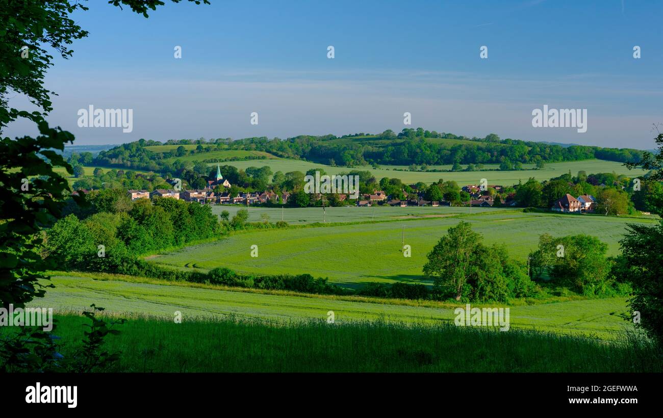 South Harting, Royaume-Uni - 14 juin 2021 : vue d'été en début de matinée de South Harting, West Sussex, dans le parc national de South Downs Banque D'Images