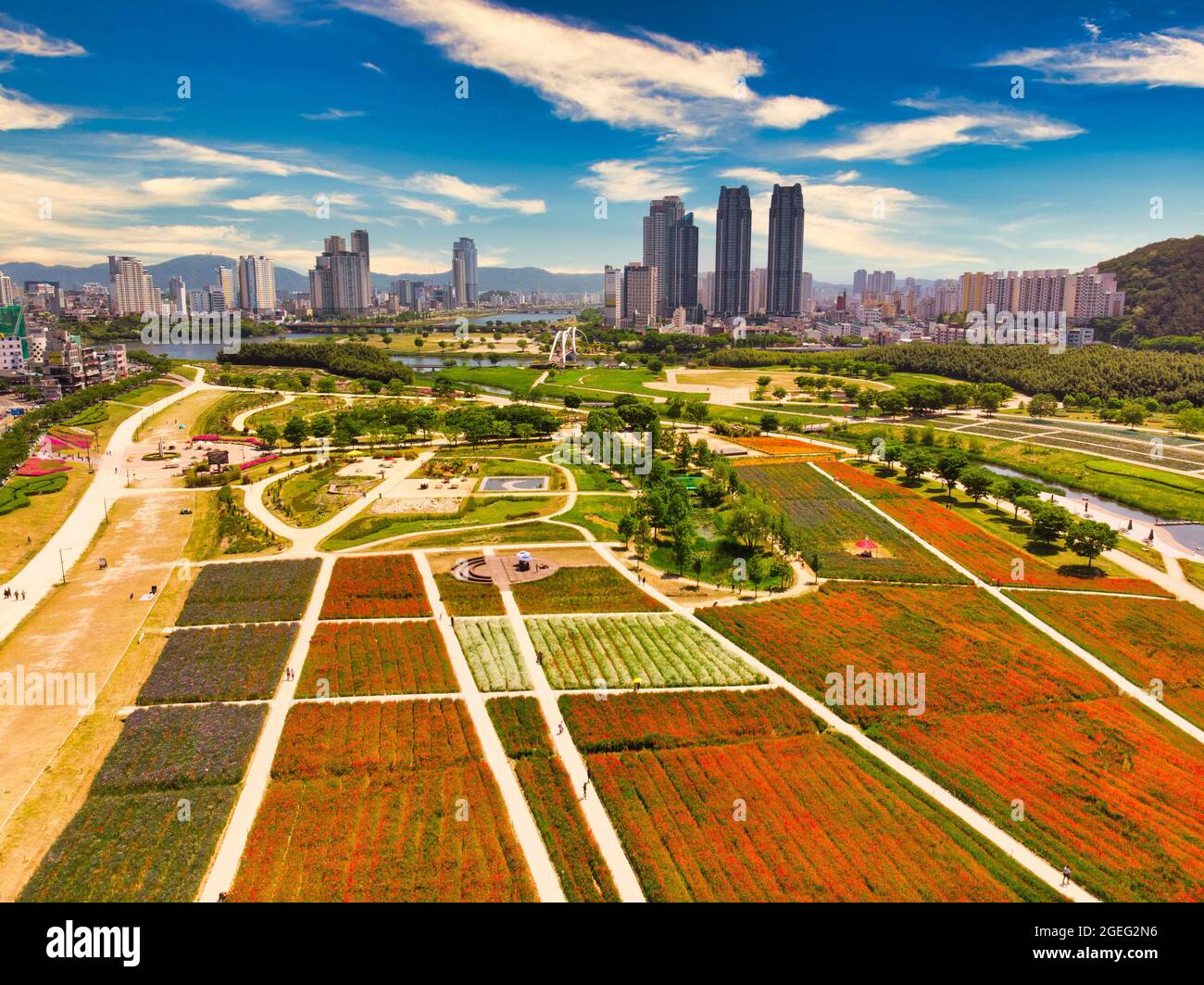 Photo aérienne du jardin national de Taehwagang à Ulsan, Corée du Sud Banque D'Images