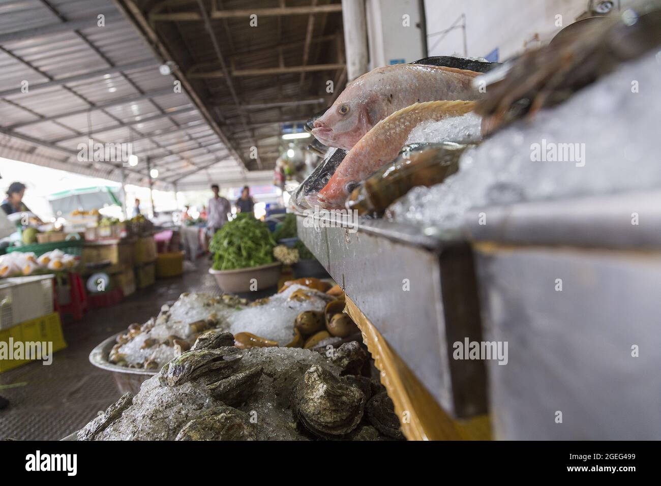 Marché du poisson à Phnom Penh Banque D'Images