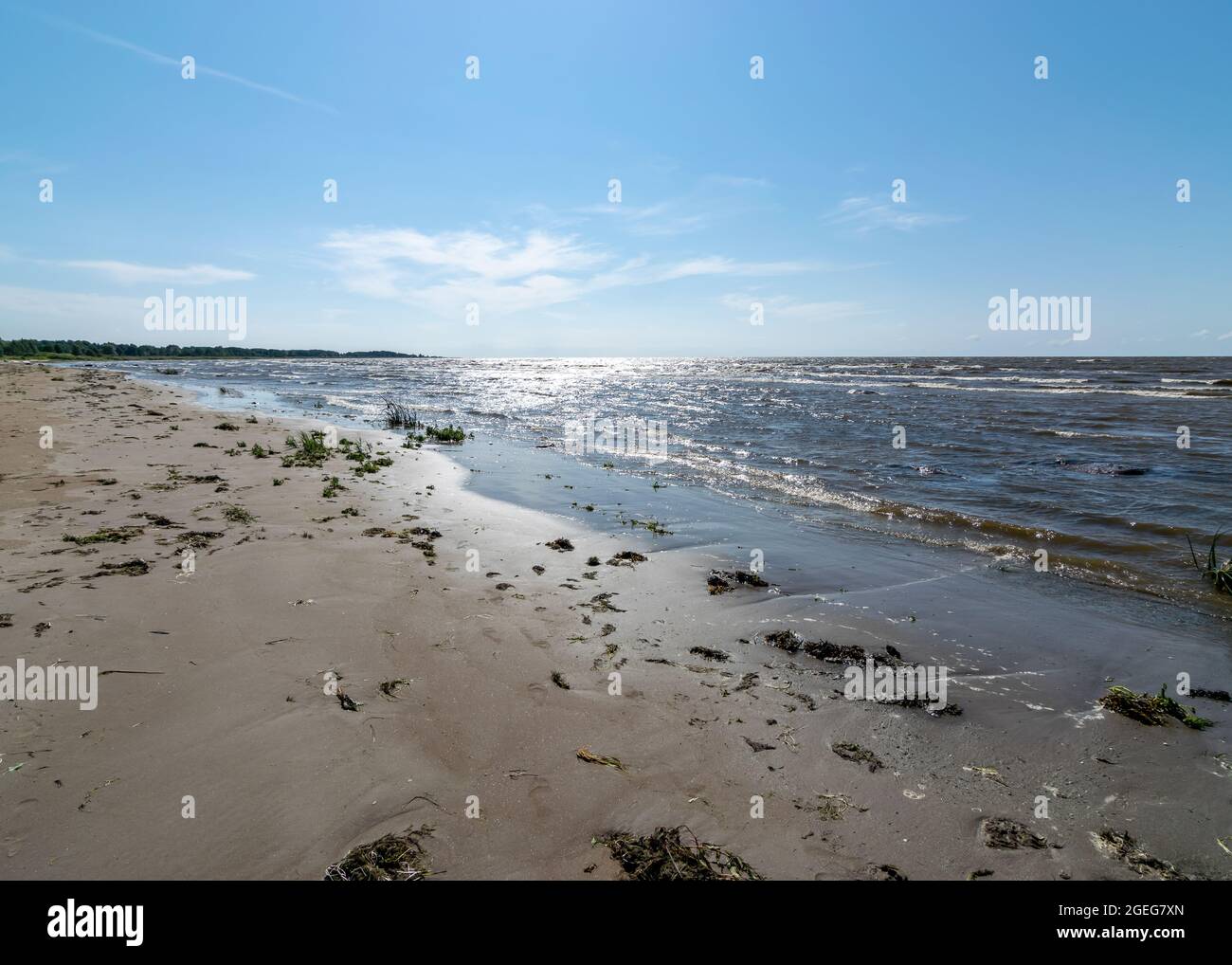 Paysage de bord de mer traditionnel d'Estonie, herbes marines et rochers dans les eaux peu profondes, centre ornithologique de Kabli, baie de Parnu, Estonie Banque D'Images