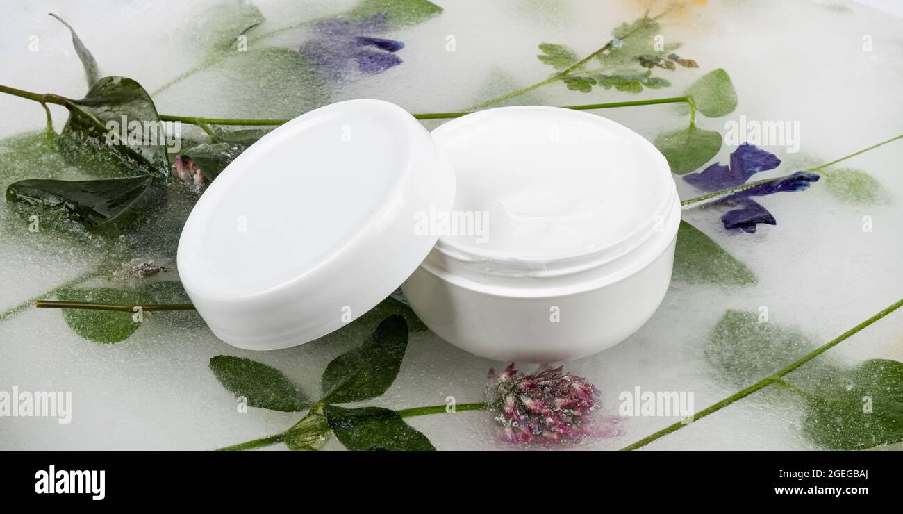 boîte blanche avec crème à base de plantes et effet de refroidissement, soins de beauté de la peau. Banque D'Images