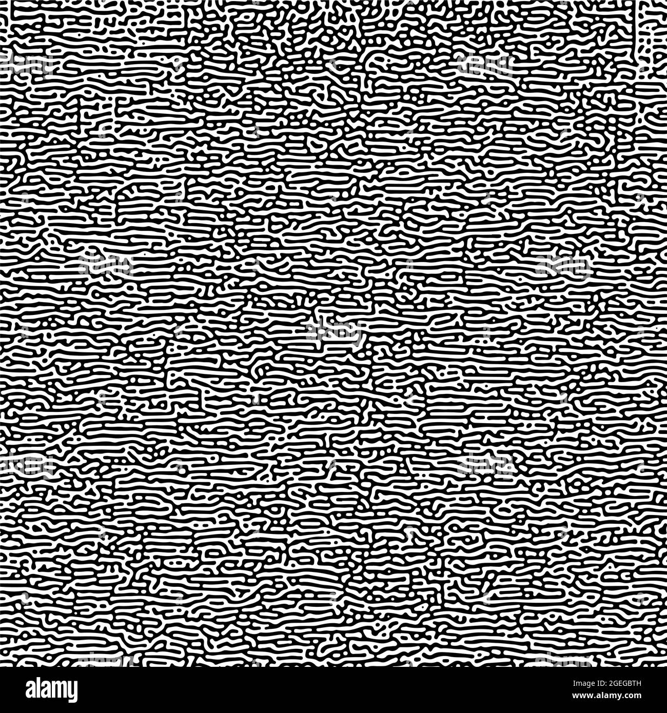 Motif de Turing multi-échelle symétrique cyclique. Texture monochrome Illustration de Vecteur