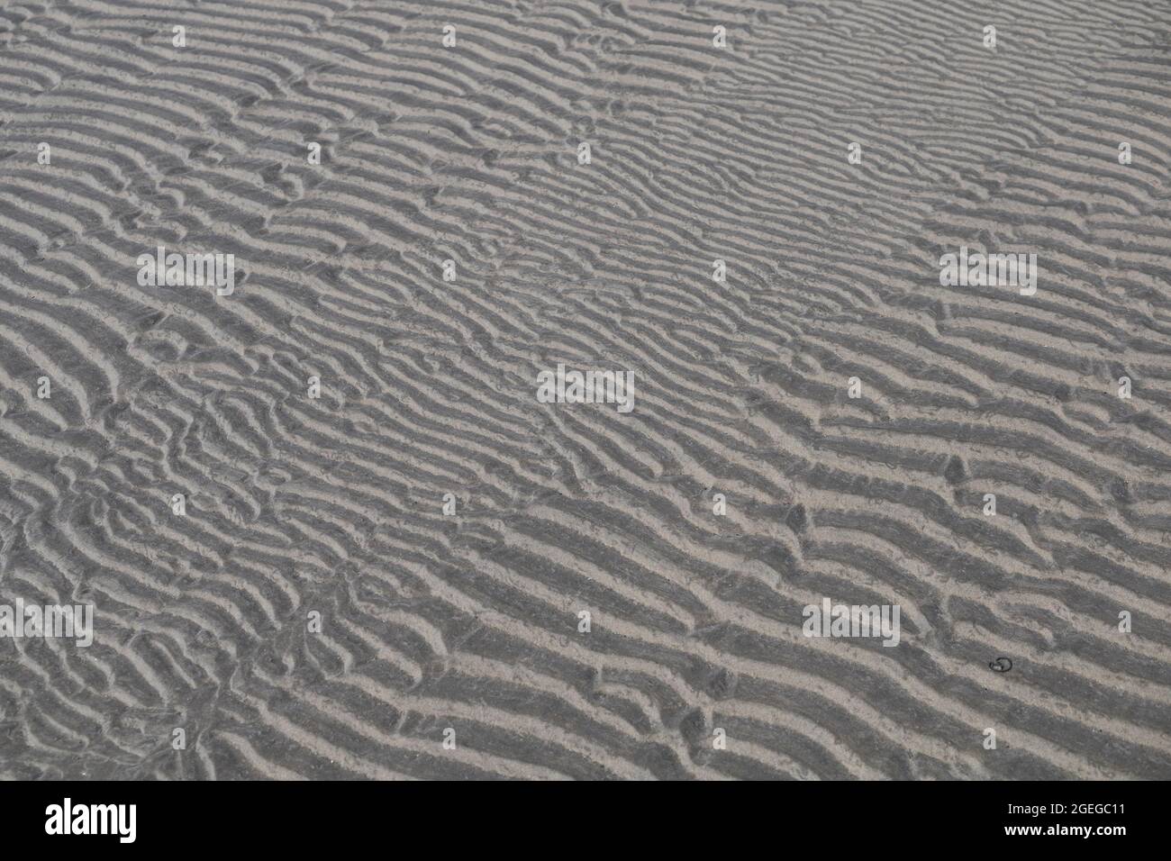 Des marques d'ondulation dans le sable sur la plage Banque D'Images