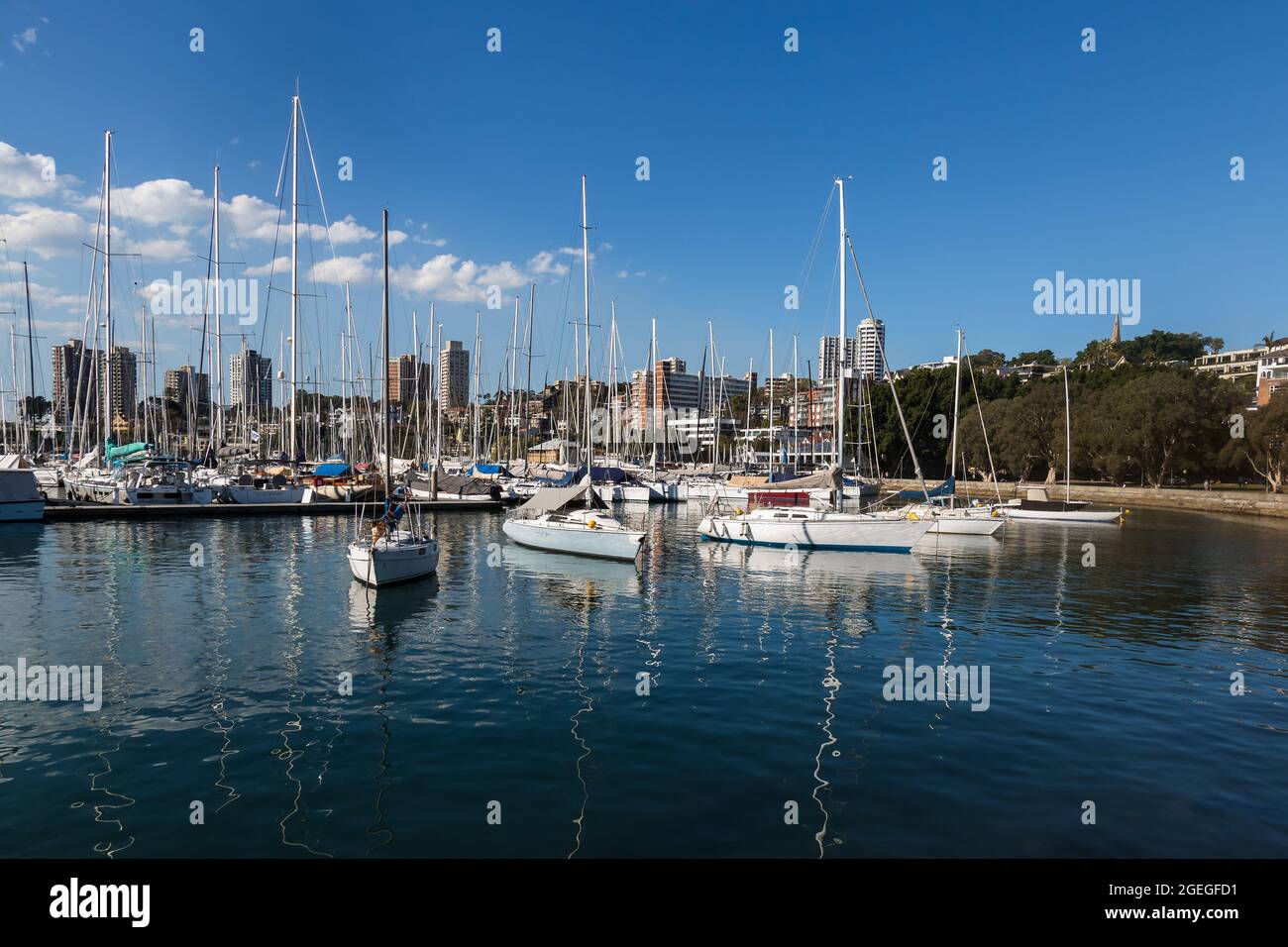 Sydney, Australie. Vendredi 20 août 2021. Vues générales sur les yachys amarrés dans le port de Sydney au Rushcutters Bay Park. Le programme d'éclusage de Sydney a été prolongé jusqu'au 30 septembre dans la grande région de Sydney, le nombre de cas de déformation Delta COVID-19 continuant d'augmenter. Les masques faciaux sont désormais obligatoires à l'extérieur dans toute la Nouvelle-Galles du Sud, sauf s'ils font Crédit : Paul Lovelace/Alamy Live News Banque D'Images
