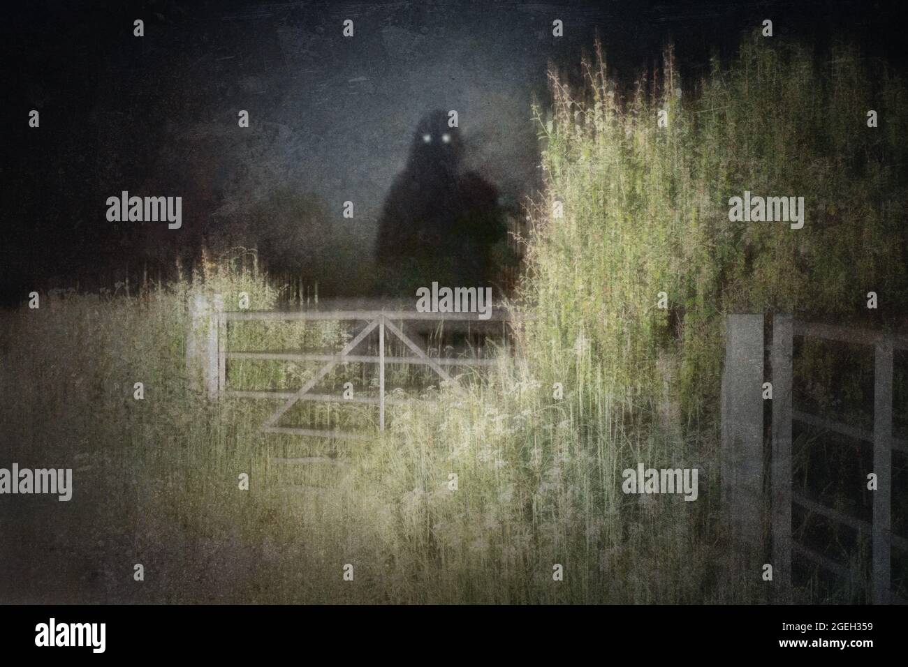 Un concept d'horreur d'une entité surnaturelle à capuche floue et effrayante avec des yeux brillants. Regarder la caméra. Dans la campagne la nuit. Banque D'Images