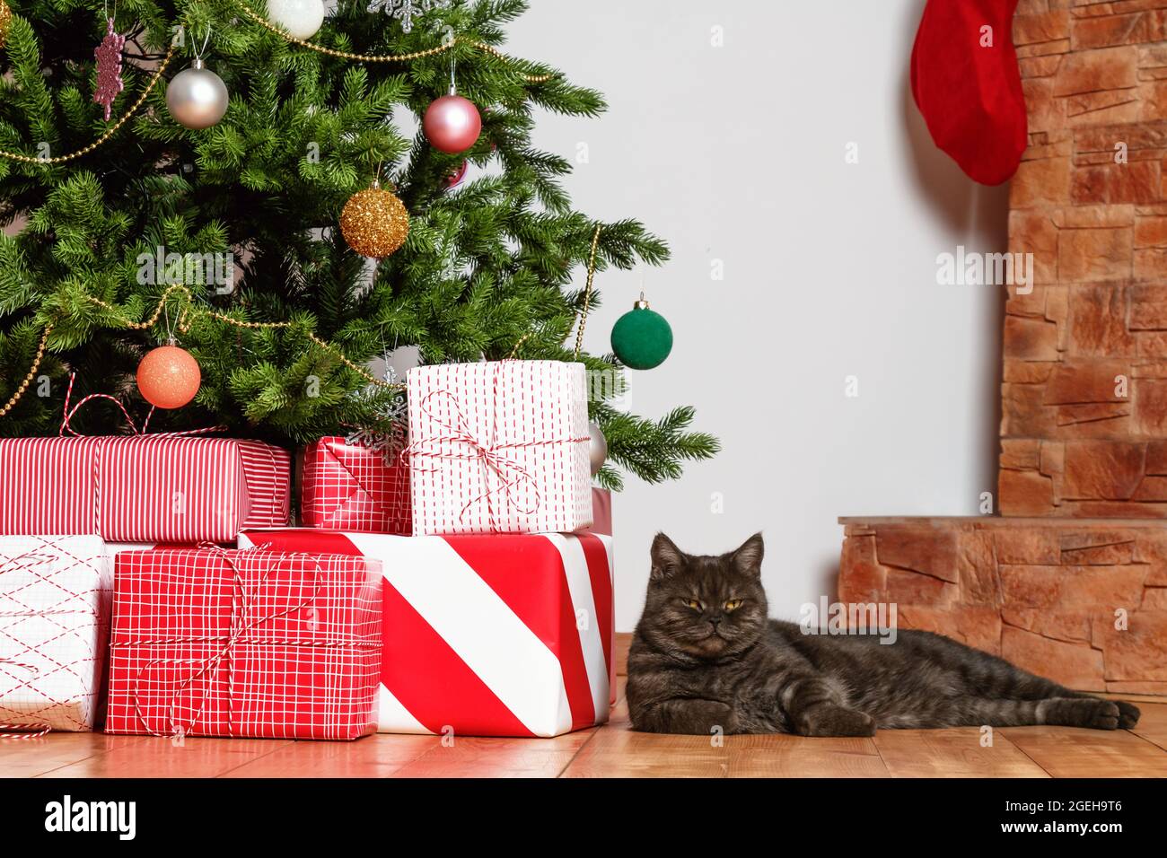 Arbre de Noël avec des cadeaux et un chat noir. Gros plan. Banque D'Images