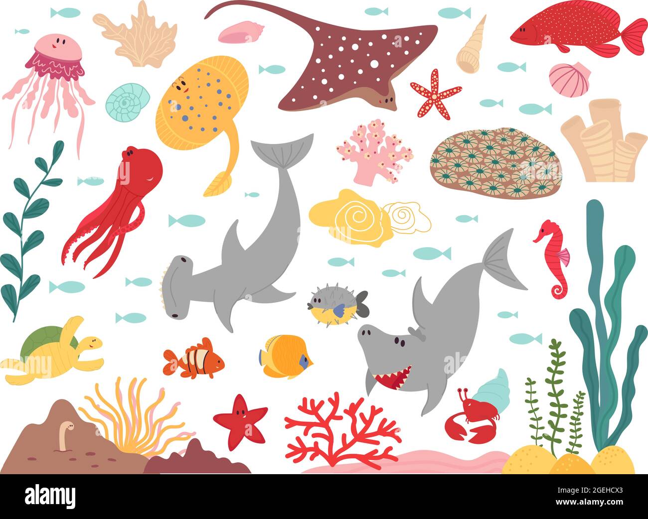 Vie marine de dessin animé. Animaux du monde marin, poissons sous-marins plantes objets. Océan faune sauvage requin tortue, aquarium plat personnages vecteur décents Illustration de Vecteur