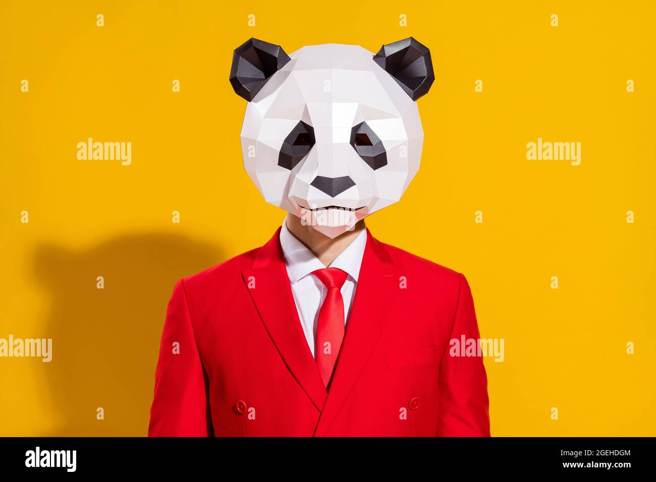 Photo de succès Guy look caméra porter panda papier tête rouge costume  cravate isolé sur fond jaune couleur Photo Stock - Alamy