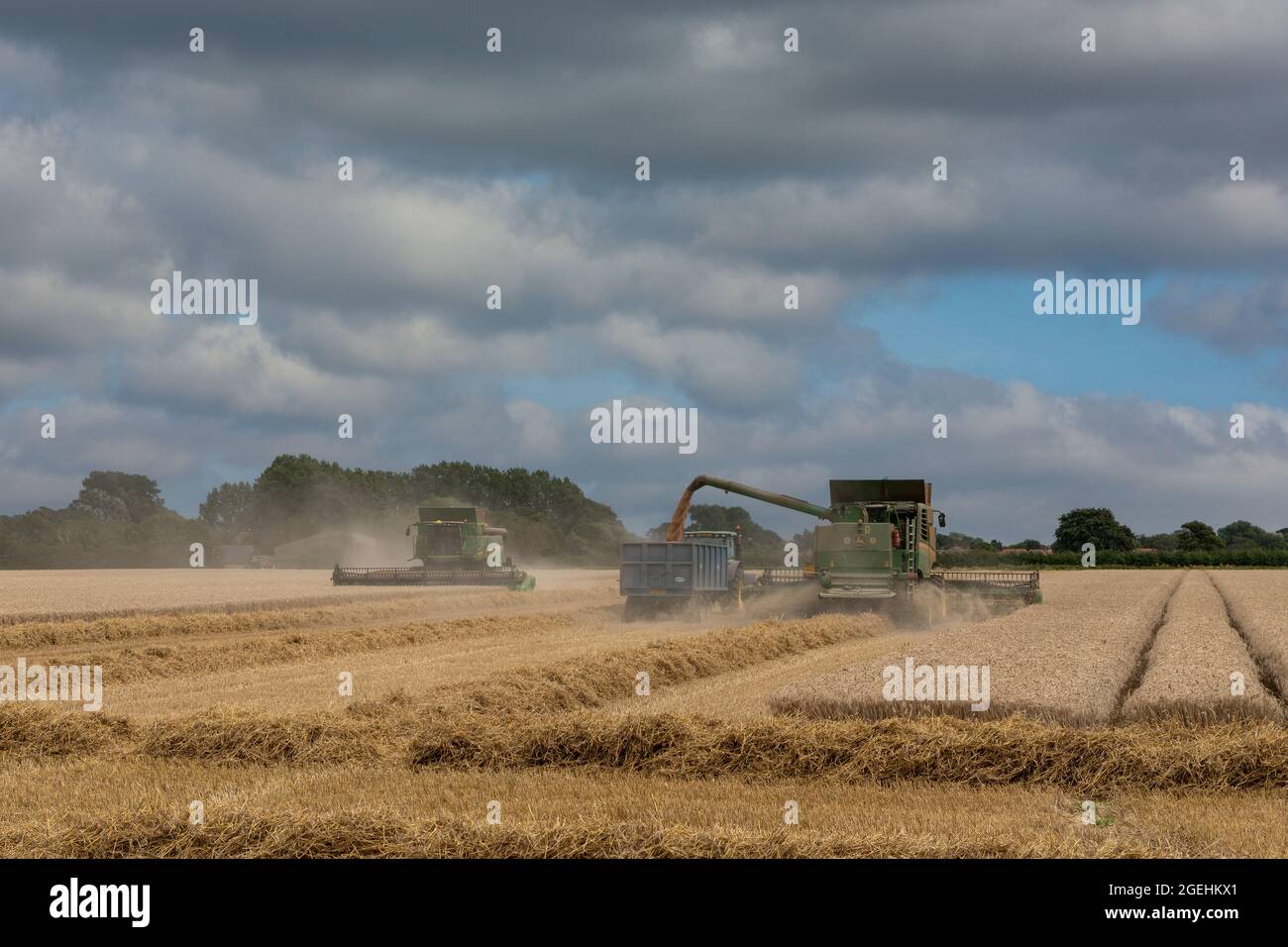 Moissonneuse-batteuse John Deere effectuant un travail léger sur un champ de blé dans le sud de l'Angleterre. Banque D'Images
