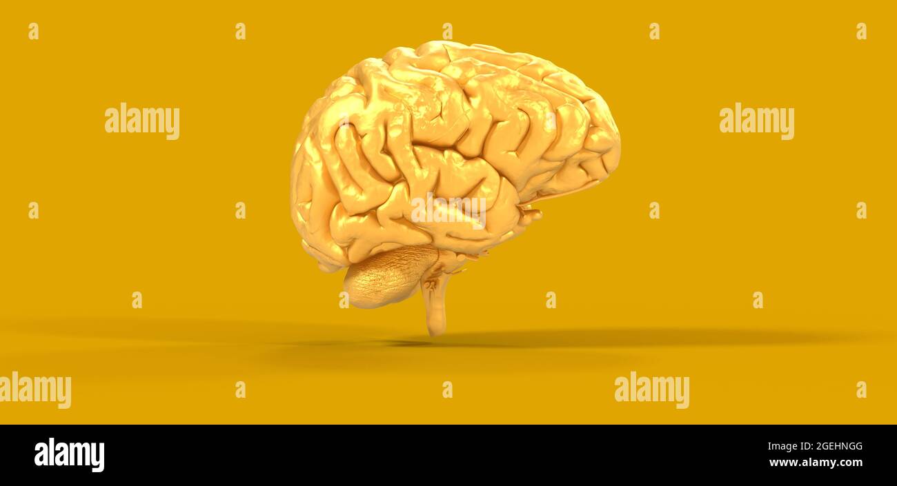 Illustration polygonale du cerveau 3D sur fond jaune Banque D'Images
