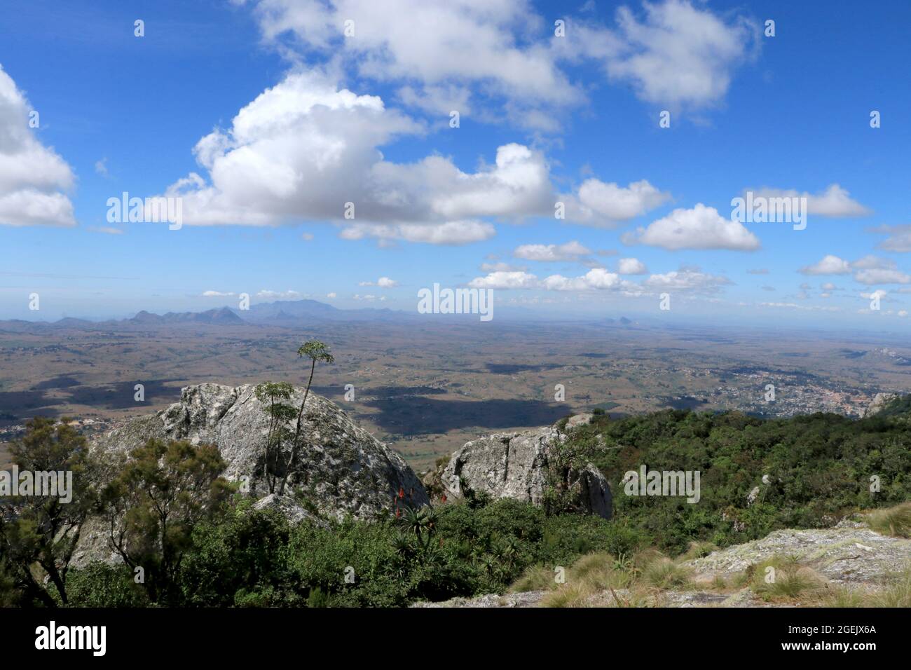 Une végétation diversifiée est visible tout autour du sommet de Dedza. Malawi. Banque D'Images