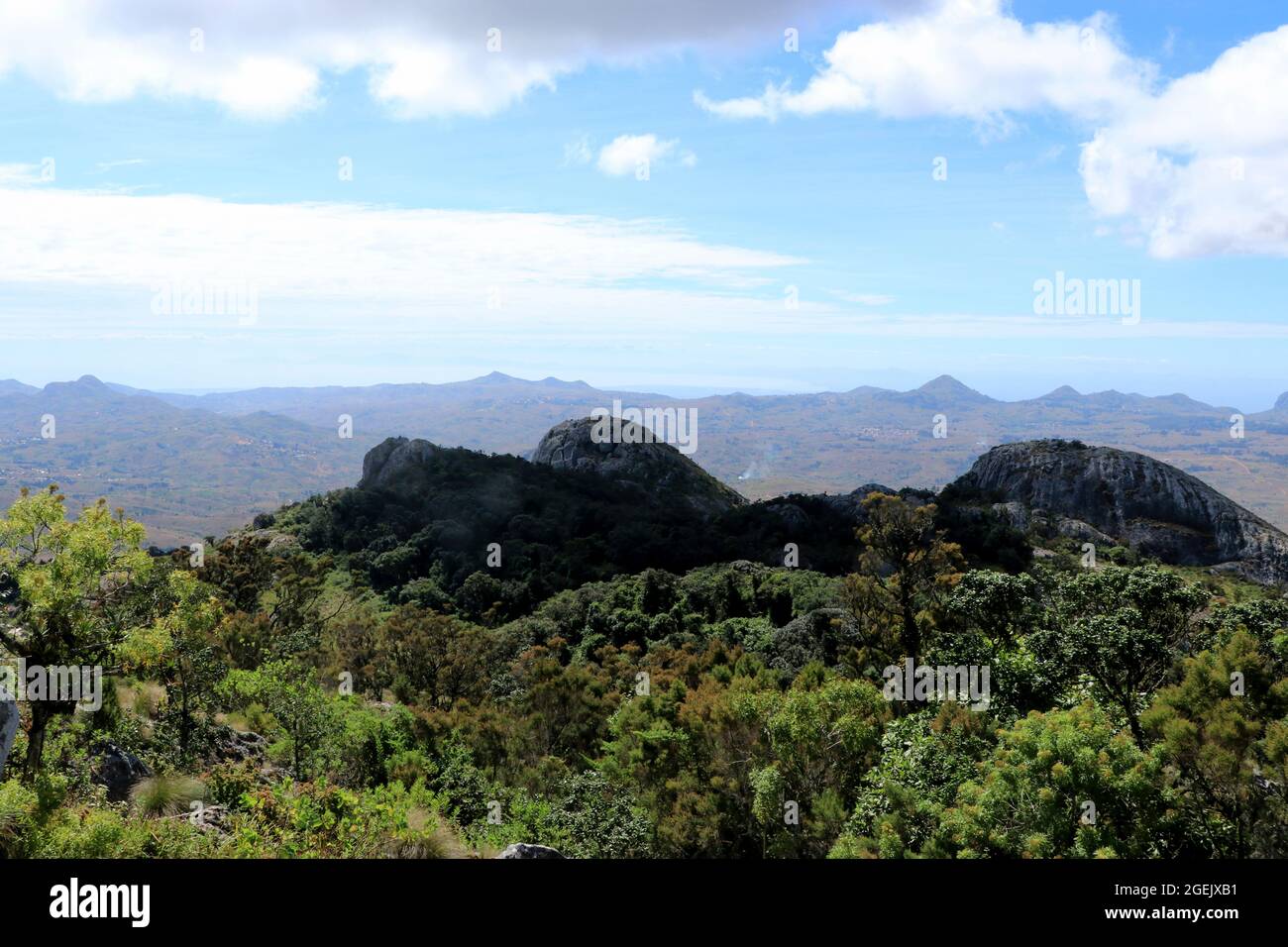 Une végétation diversifiée est visible tout autour du sommet de Dedza. Malawi. Banque D'Images