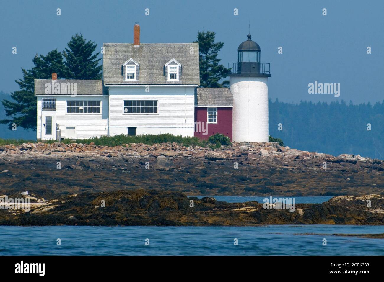 La lumière de Blue Hill Bay, également appelée phare d'Eggemoggin, se trouve sur une petite île basse le long de la rive rocheuse à marée basse dans le Maine. Banque D'Images