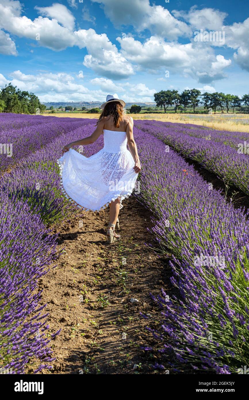 Jeune femme vue de derrière marchant au milieu d'un champ de lavande. Elle porte une longue robe blanche et un chapeau de paille. Banque D'Images