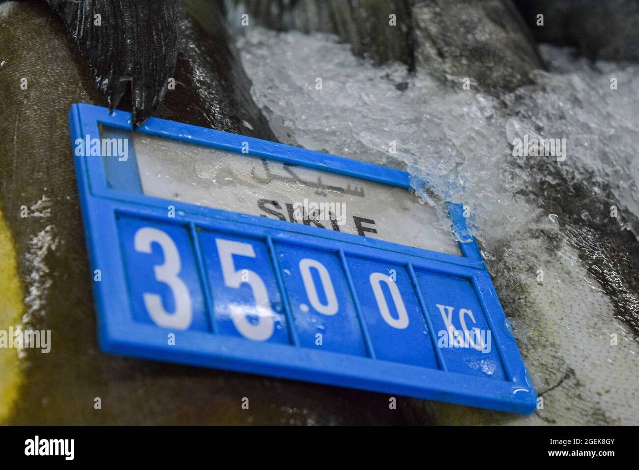 Prix du poisson au marché aux poissons d'Al Mina à Abu Dhabi. Banque D'Images