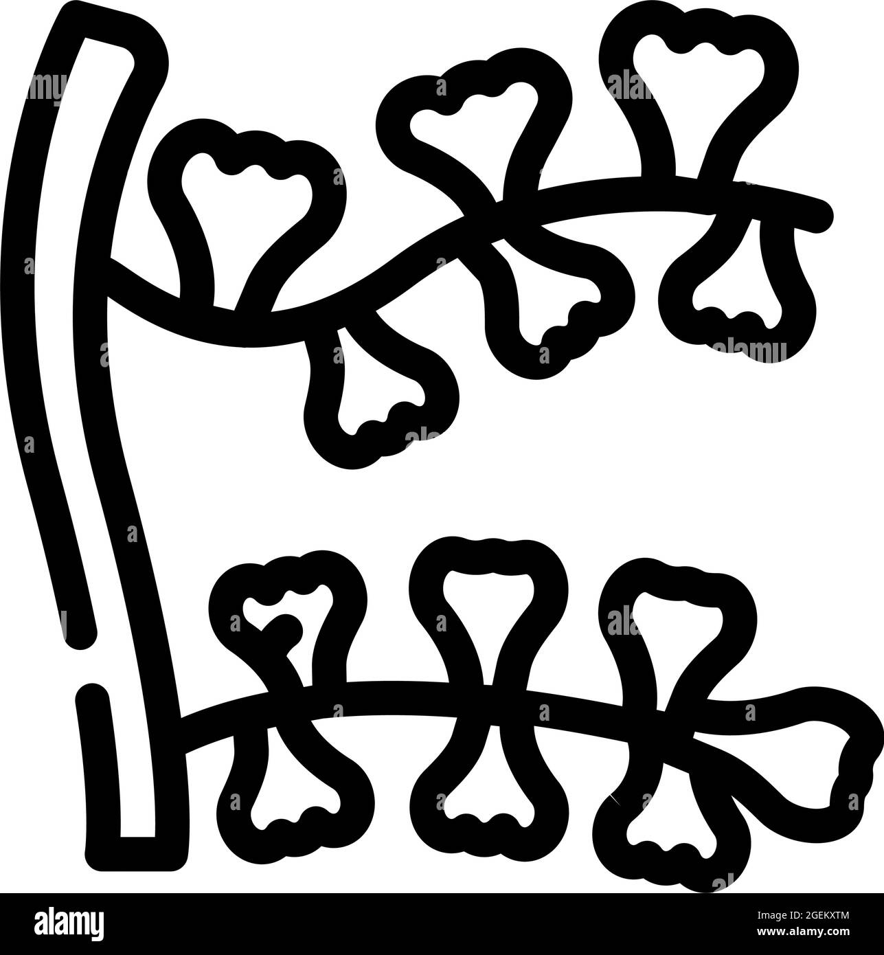 illustration vectorielle de la ligne d'algues sargassum horneri Illustration de Vecteur